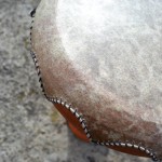 Djembe Skin