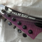 Palm Bay Guitars Tempest